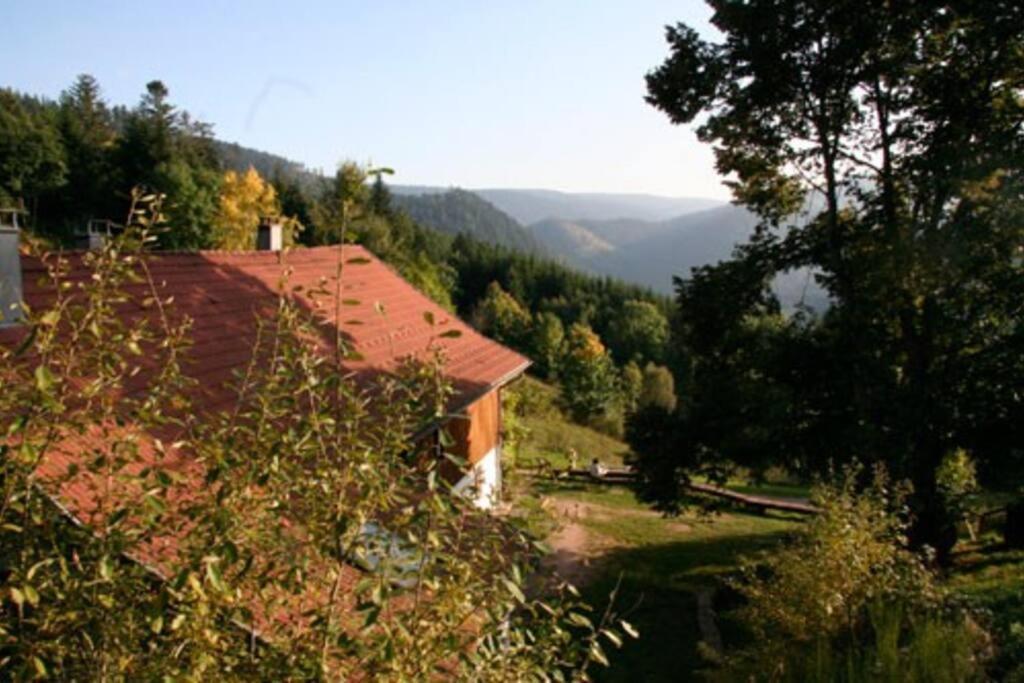 Appartement Dans Vielle Ferme Au Coeur Des Vosges Plainfaing Eksteriør billede