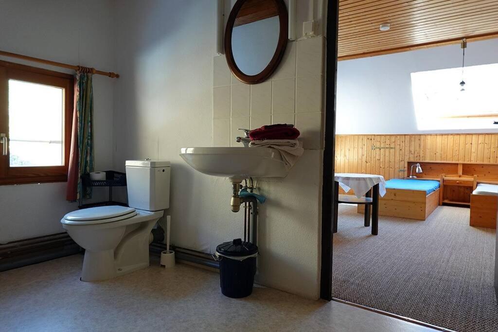 Appartement Dans Vielle Ferme Au Coeur Des Vosges Plainfaing Eksteriør billede