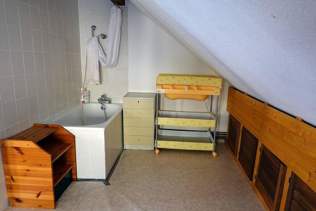 Appartement Dans Vielle Ferme Au Coeur Des Vosges Plainfaing Eksteriør billede