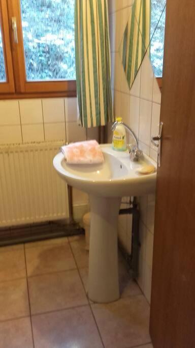 Appartement Dans Vielle Ferme Au Coeur Des Vosges Plainfaing Eksteriør billede