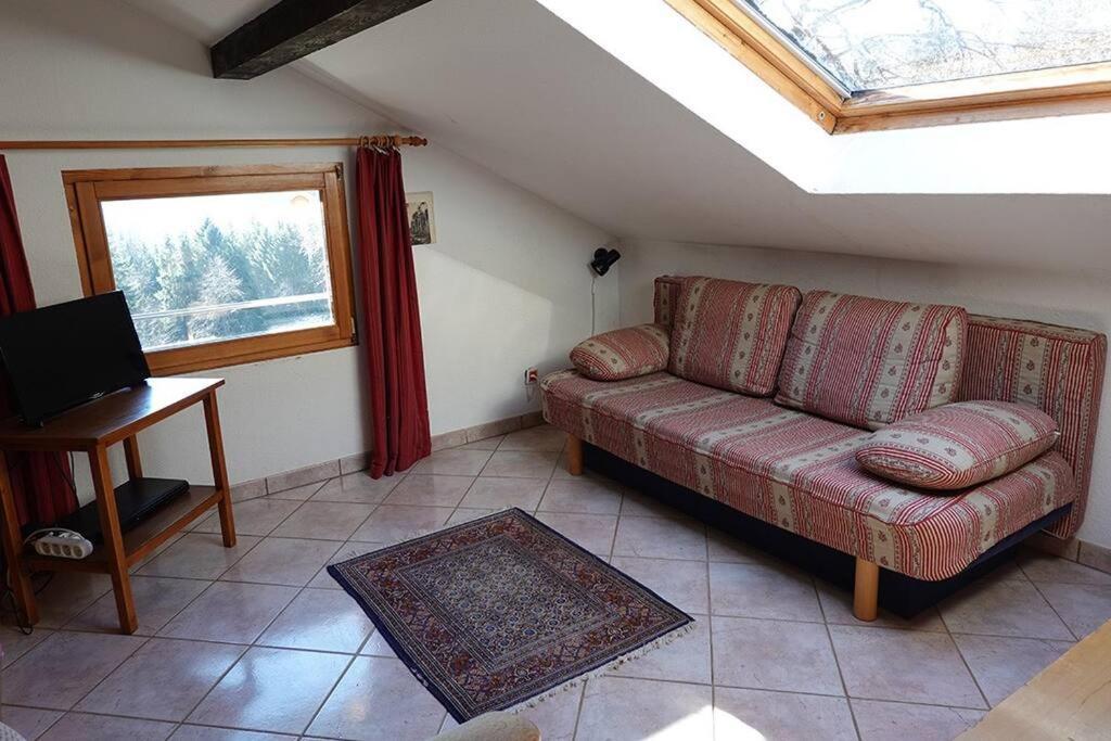 Appartement Dans Vielle Ferme Au Coeur Des Vosges Plainfaing Eksteriør billede