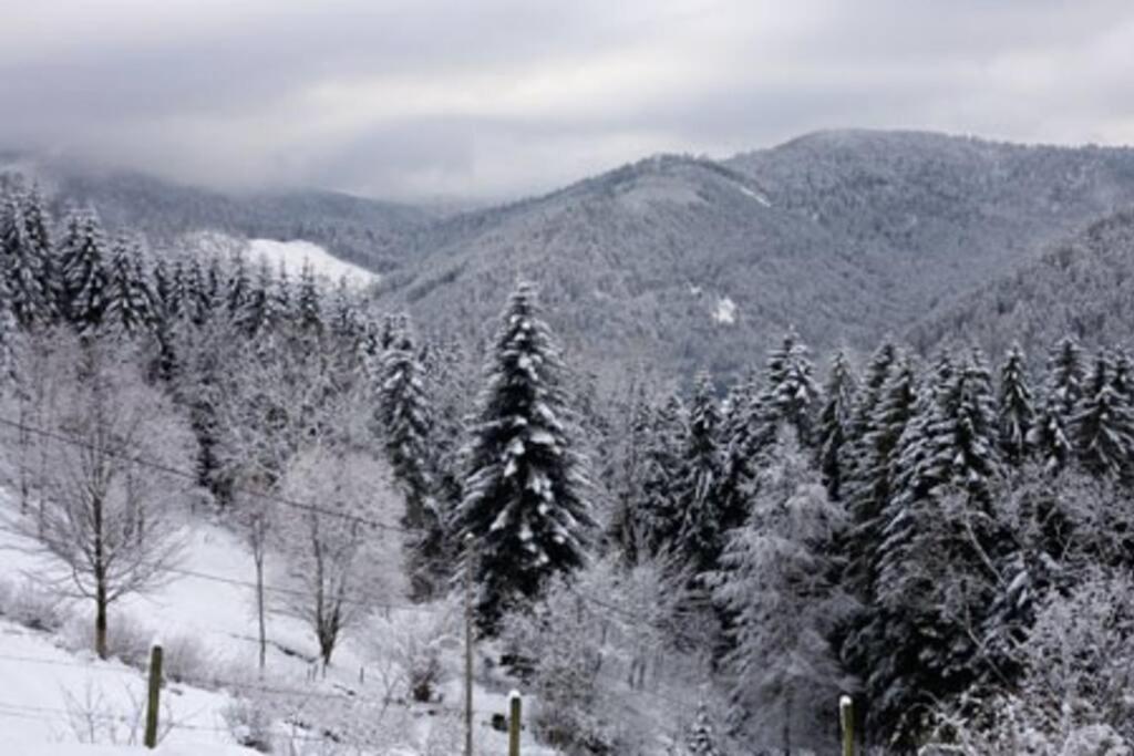 Appartement Dans Vielle Ferme Au Coeur Des Vosges Plainfaing Eksteriør billede