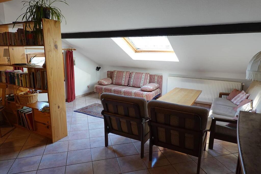 Appartement Dans Vielle Ferme Au Coeur Des Vosges Plainfaing Eksteriør billede