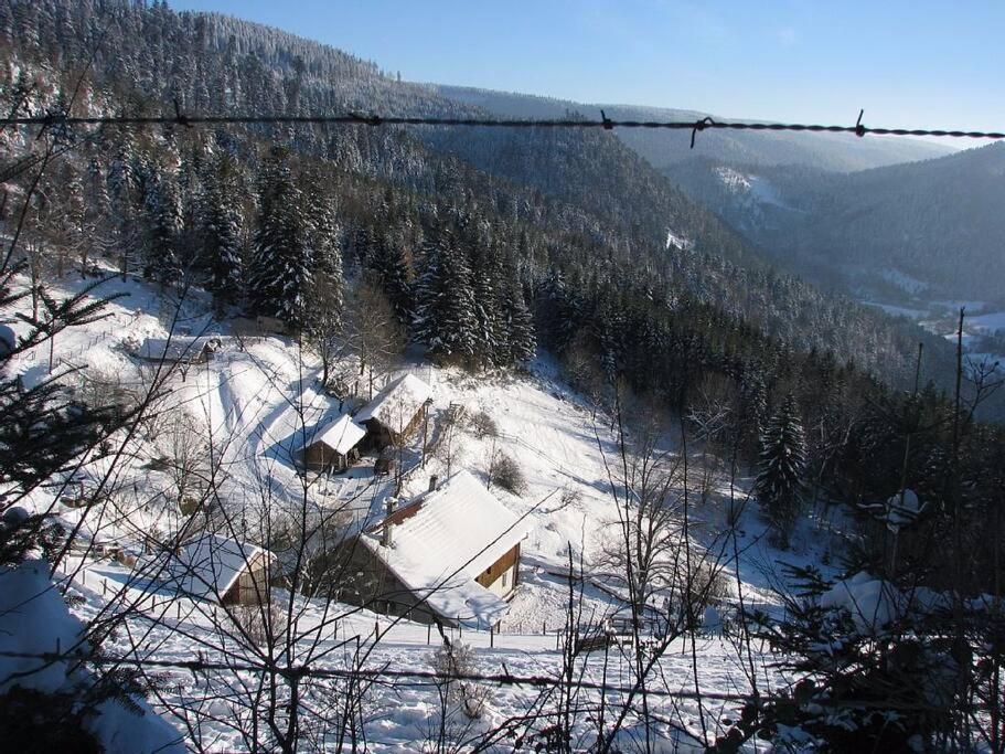 Appartement Dans Vielle Ferme Au Coeur Des Vosges Plainfaing Eksteriør billede