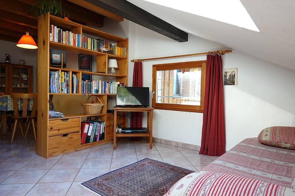 Appartement Dans Vielle Ferme Au Coeur Des Vosges Plainfaing Eksteriør billede