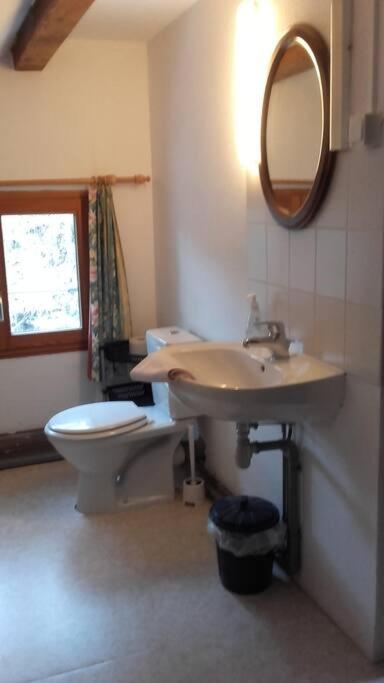Appartement Dans Vielle Ferme Au Coeur Des Vosges Plainfaing Eksteriør billede