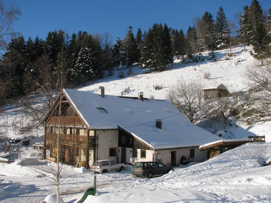 Appartement Dans Vielle Ferme Au Coeur Des Vosges Plainfaing Eksteriør billede