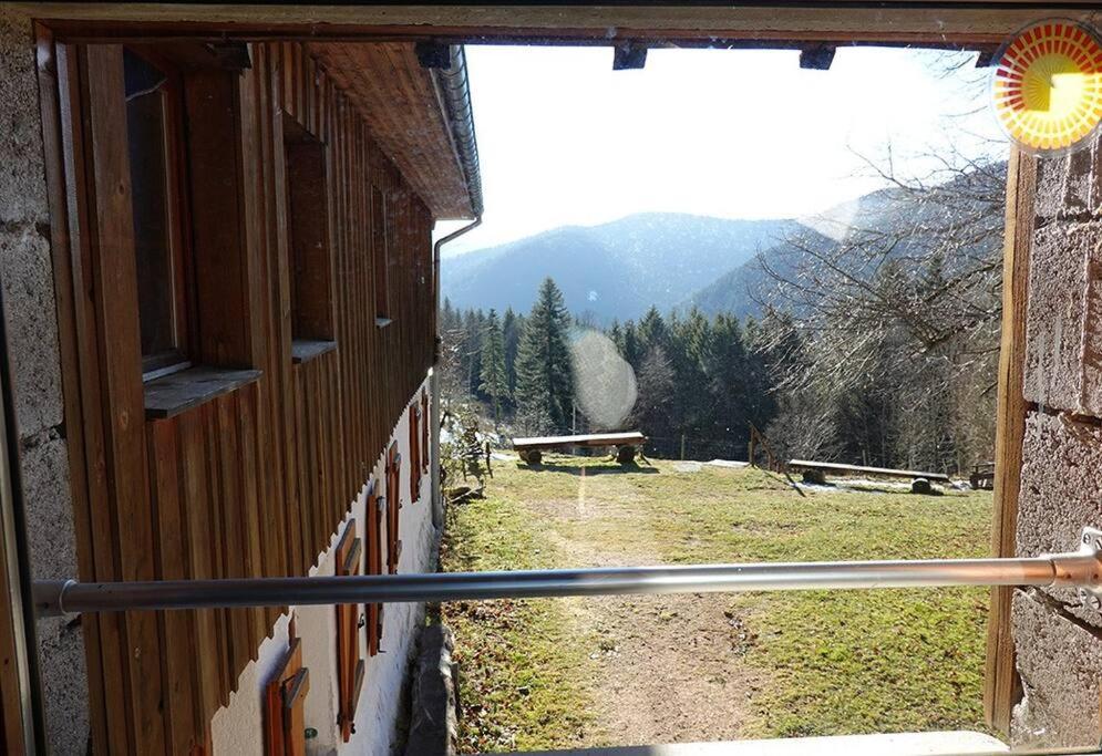 Appartement Dans Vielle Ferme Au Coeur Des Vosges Plainfaing Eksteriør billede