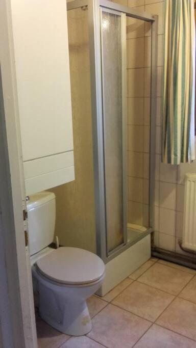 Appartement Dans Vielle Ferme Au Coeur Des Vosges Plainfaing Eksteriør billede